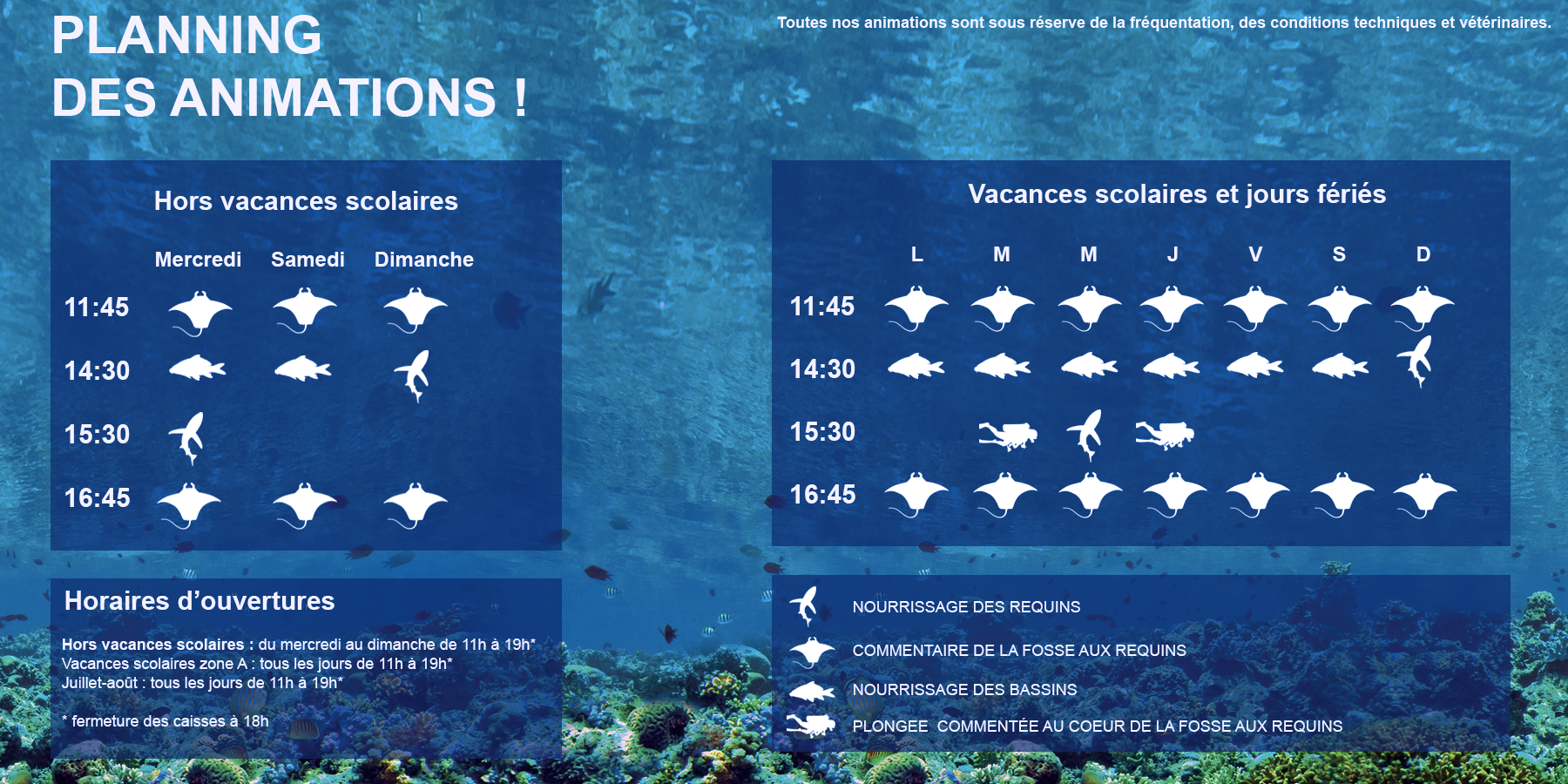 aquarium lyon horaires tarifs - aquarium lyon tarif