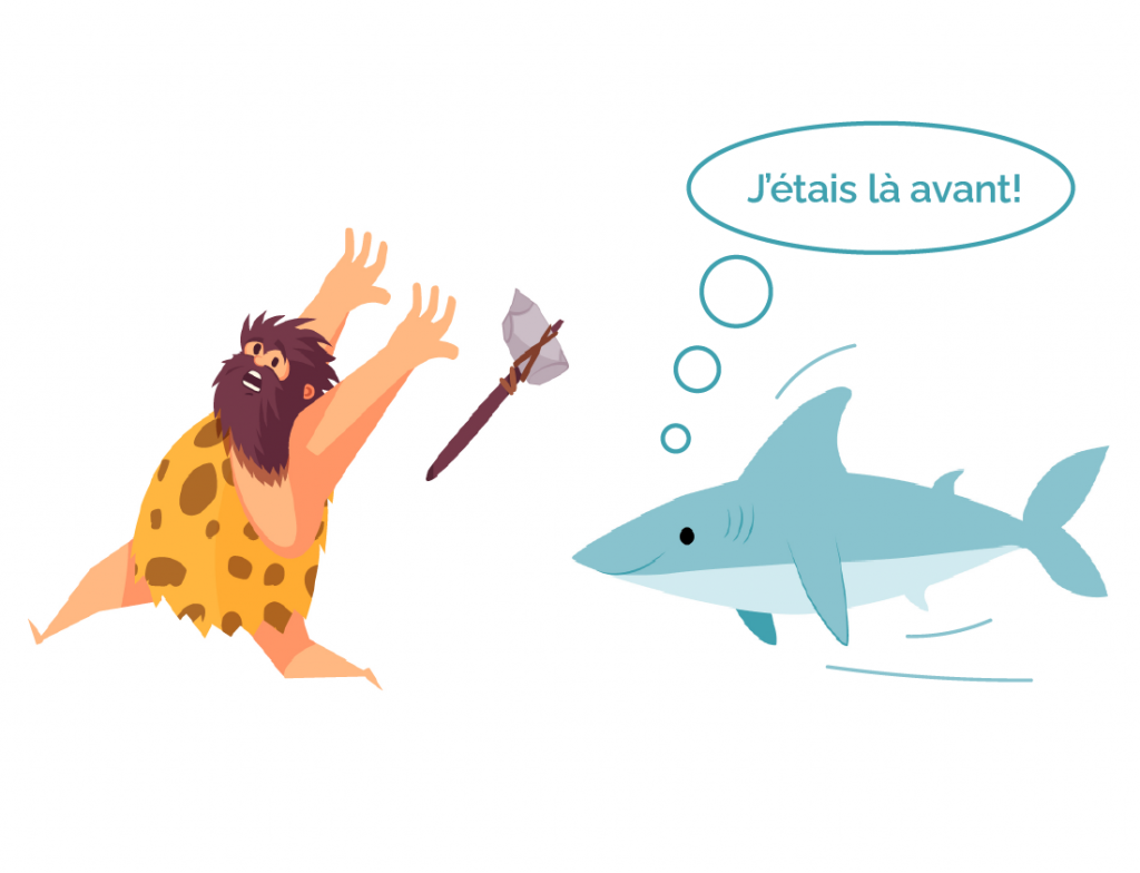 UNE DENT CONTRE LES REQUINS !